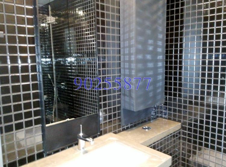 Skysuites@Anson thumbnail photo
